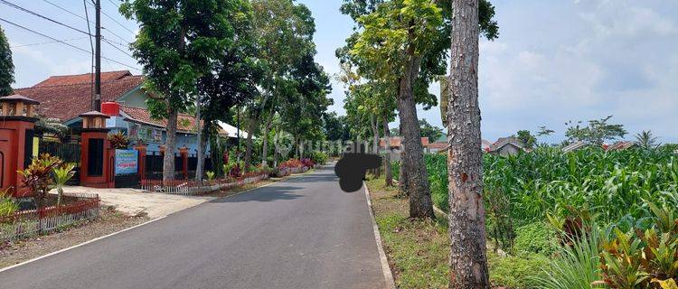 Tanah Depan Sdn 1 Karangpule Purbalingga 1