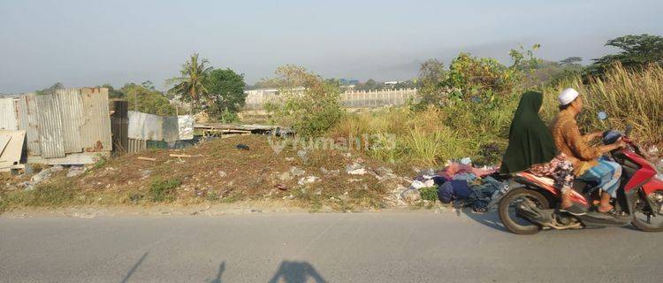 Tanah Lingkar Pci Dilalui Banyak Kendaraan 1