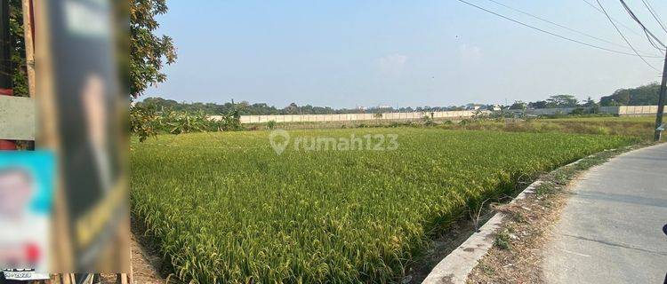 Tanah Jalan Perumahan Dekat Grand Sutera Serang 1