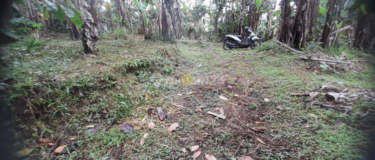 Tanah Jual Lokasi Wanagiri 1