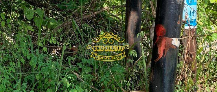 Tanah Jual Lokasi Sidakarya 1