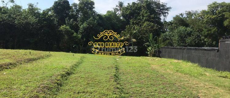 Tanah Sewa Lokasi Pererenan 1