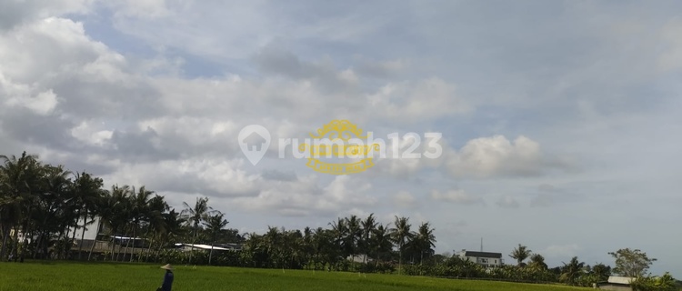 Tanah Jual Lokasi Pantai Nyanyi 1
