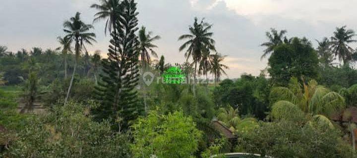 Villa Jual Lokasi Singapadu 1