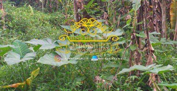 Tanah Sewa Lokasi Pejeng Kangin 1