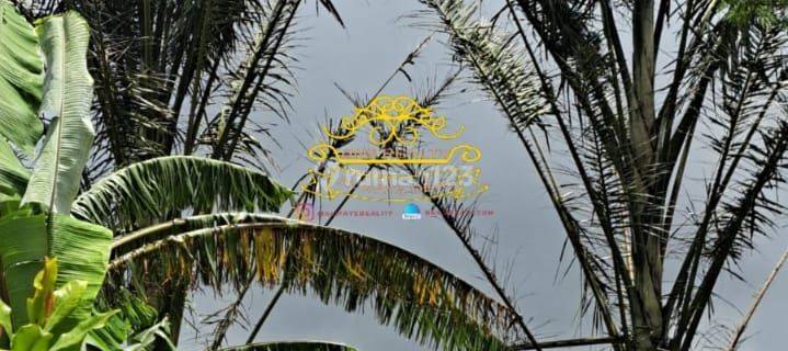 Tanah Jual Lokasi Wanagiri 1