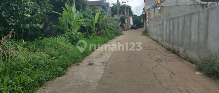 DI SEWAKAN TANAH  1