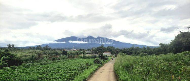 Dijual Tanah Kavling View Gunung Salak Cocok Untuk Villa/wisata/cafe & Resto 1