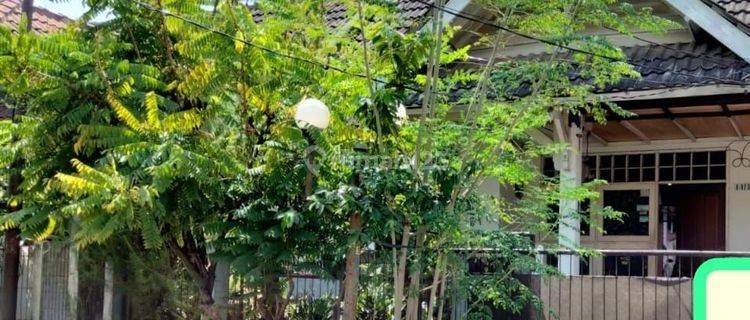 Dijual Murah Rumah Halaman Luas Palm Bintaro 1