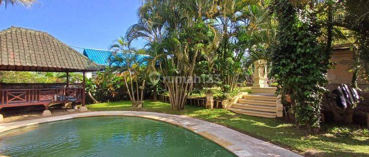 Villa Cantik Rice field view and jungle view in ubud 1