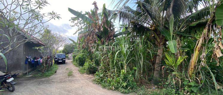 Tanah lingkungan Perumahan Di Serongga Gianyar Bali  1