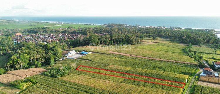 Cheap Land Sliced Bread Dream Developer In Tabanan  1