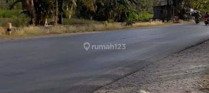 DIJUAL MURAH TANAH KOMERSIAL di Jl Timor Raya NoelBaki KUPANG TENGAH 1