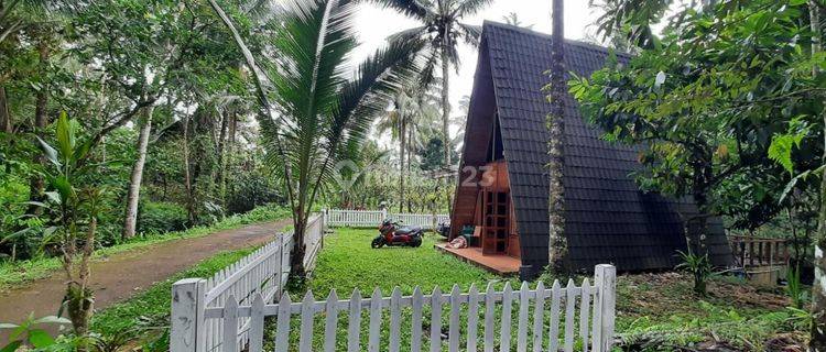 Villa dari kayu dengan tanah luas di area perbukitan dekat air terjun  1