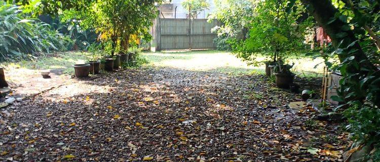 Dijual Cepat Tanah Luas Dengan Kebun Buah Di Cimanggis 1