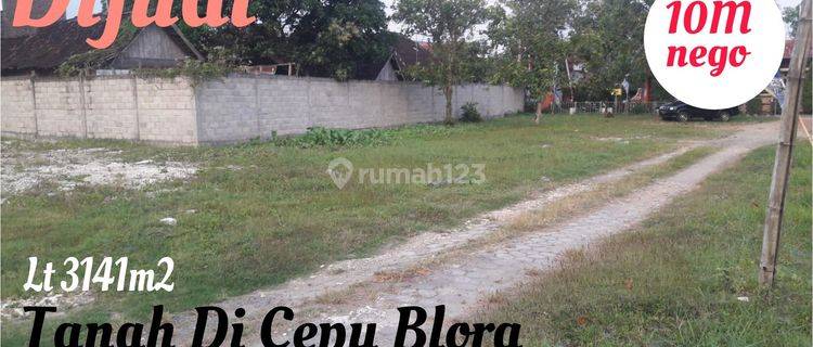 Tanah Di JALAN BESAR DI CEPU BLORA,Lokasi Premium 1