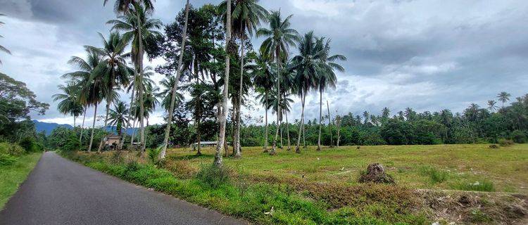 Tanah Shm Sungai Geringging Di Jl. Raya Lambeh, Malai Iii Koto, Kec. Sungai Geringging, Kabupaten Padang Pariaman, Sumatera Barat 1