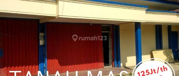 Disewakan Rumah Bagus Siap Huni di Tanah Mas Semarang  1