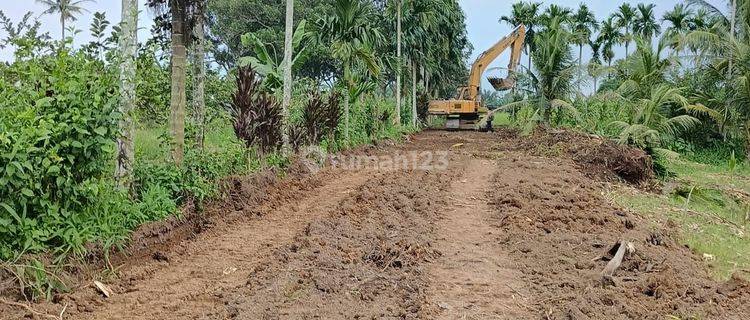 Hot Project Tanah Kavling 2menit Ke Pajak Melati Total 110 Kavlin 1