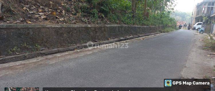 Tanah Berikut Pohon Jati Ciwandan Dekat Pelabuhan 1