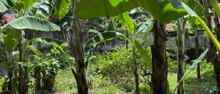 Tanah Cocok Untuk Perumahan Dan Berlokasi Strategis di Srengseng Sawah, Jagakarsa, Jakarta Selatan 1