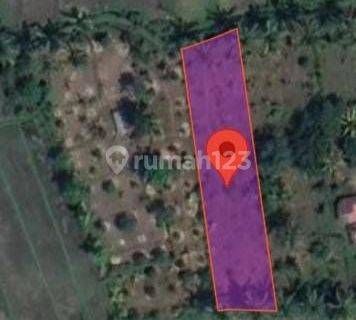 Land For Sale Buleleng Area mr 1