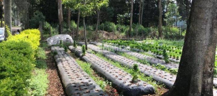 Kavling Panorama Lokasi Strategis Siap Bangun 1