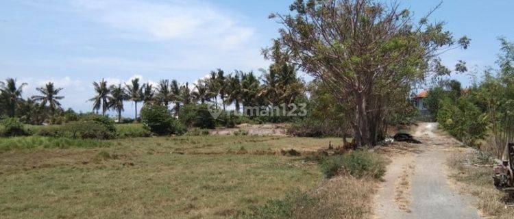 Dijual Tanah Kavling 2 Are di Jalan Pantai Saba, Gianyar 1