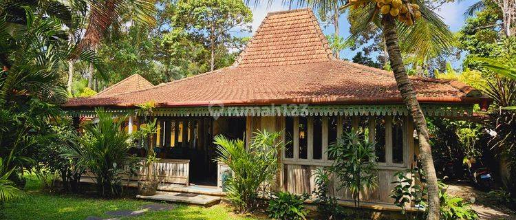 For Sale Comfortable 3 Bedroom Villa in Sayan, Ubud Managed by Management 1