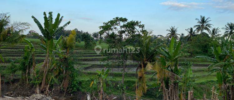 Dijual Tanah Kavling Murah Mulai 1,5 Are Dekat Pantai Gangga 1