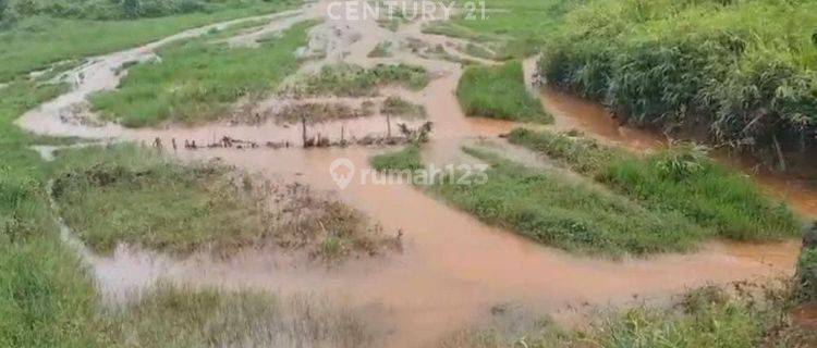 Tanah Lahan Perkebunan Cocok Untuk Investasi Di Cianjur S8539 1