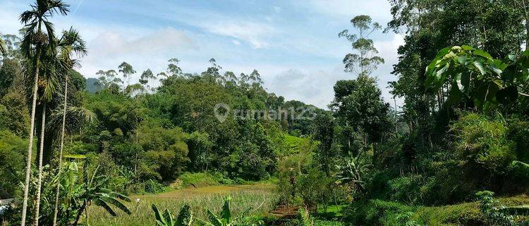 Sewa Lahan Untuk Perkebunan Murah Mdpl 1171 1