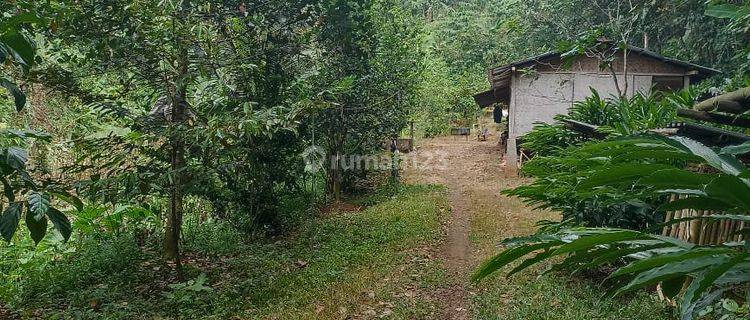 Tanah Kavling di Jalan Raya Cinangsi Cikalong Kulon, Cianjur  1