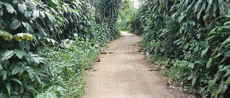 Tanah datar,cocok untuk invest dan perkebunan 1