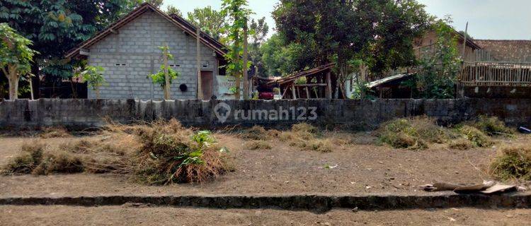 Rumah SHM bebas desain termurah di Jogja Utara  1