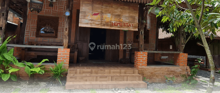 Homestay Joglo Klepu, 379 M, Shm, Aktif Dan Siap Disewakan 1