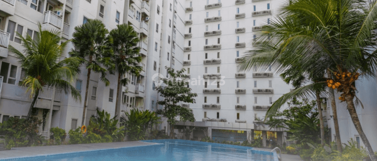 Apartement Eksekutif Apartemen 1 BR di Jogja, Hanya 300Jt An  1