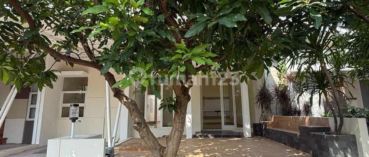 Rumah Disewakan Kondisi Bagus Siap Pakai, Graha Padma, Semarang 1