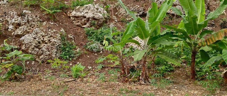 Tanah Kavling siap Bangun Villa di Pantai Obyek Wisata Madasari . 1