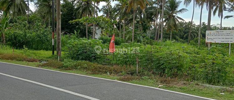 Tanah Darat Dipantai Obyek Wisata Batukaras Kabupaten Pangandaran 1