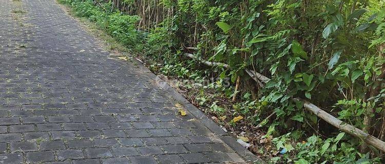Disewakan Tanah Jangka Panjang di Pecatu 1