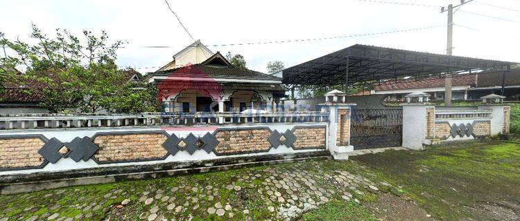 Rumah Bagus Furnished SHM di Puncu, Kediri 1