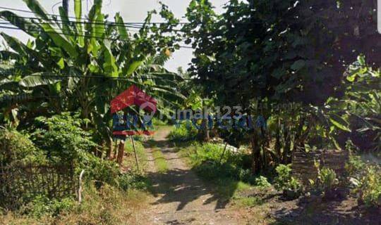 Dijual Tanah Cocok Untuk Usaha Tambak, Posisi di Pesisir Pantai Pasir Putih 1