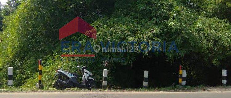 Tanah Luas Bisa Untuk Peternakan Ayam Di Sumberjo, Kandat, Kediri 1