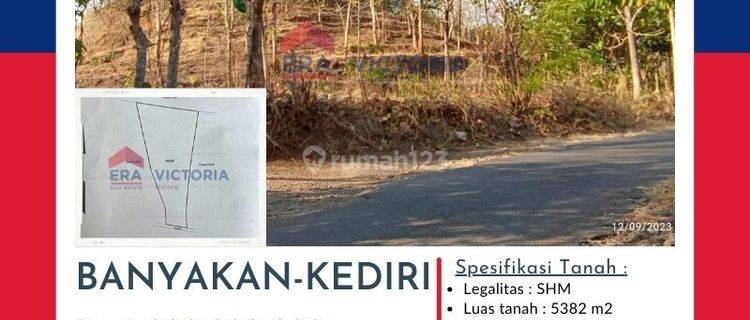 Tanah berbukit kadungan batu bisa dibuka usaha galian c atau perkebunan 1