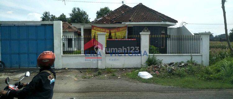 Rumah + Sawah Dijual Terletak di Jalan Raya 1