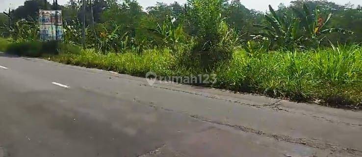 Tanah Strategis Zona Industri Dekat Exit Tol Salatiga 1