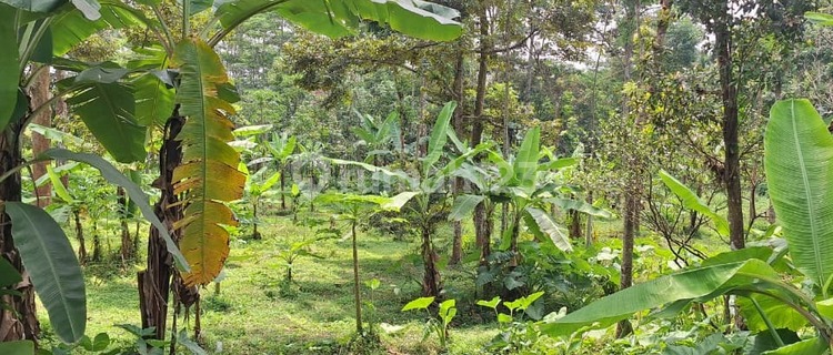 Cheap Strategic Ready-to-Use Land for Sale in Bawen 1