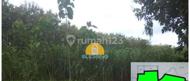Tanah dg zona industri bisa dibeli min 5Ha 1
