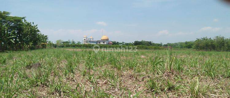 Lahan dijual dengan zona industri di daerah Banaran ,Sambung Macan,Sragen 1